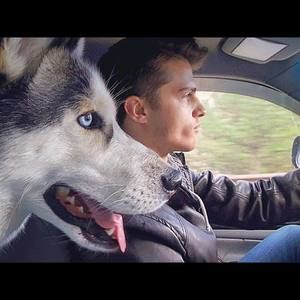 Meet your Posher, Josh